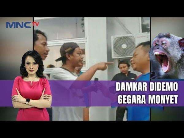 Monyet Gigit Bocah, Warga Ngamuk di Kantor Damkar Curug Tangerang