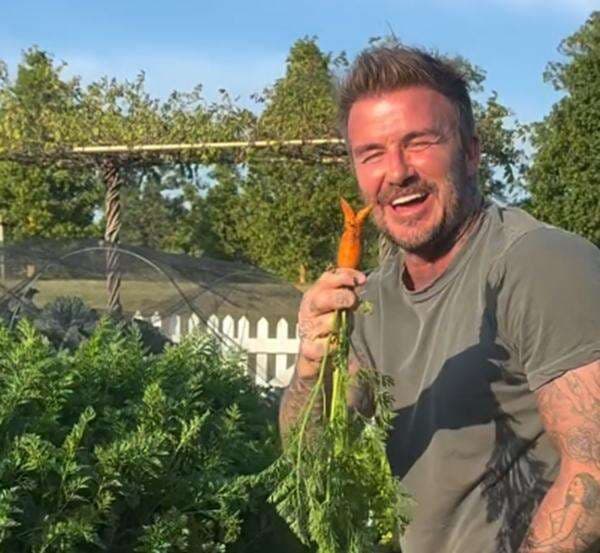Kisah Tak Biasa David Beckham, Legenda Manchester United yang Kini Bercocok Tanam