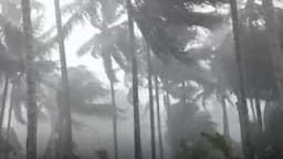 Angin Puting Beliung Terjang 2 Kecamatan di Lampung Timur, 111 Rumah Rusak Parah