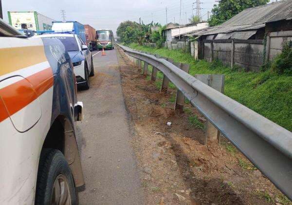 Truk Muatan Sapi Kecelakaan di Tol Jakarta-Cikampek, Ini Kronologinya