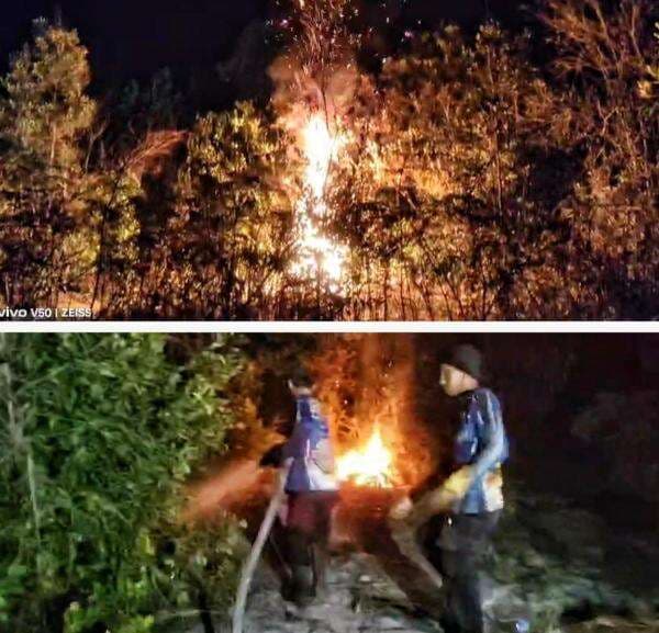 Tim Dalkarhutla Kalteng Padamkan 3 Hektare Lahan Terbakar di Kapuas