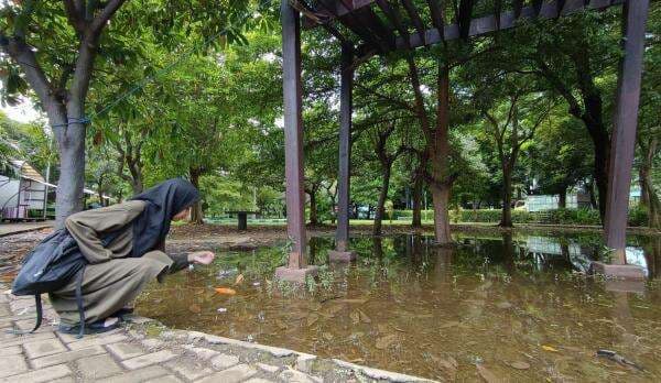 Warga Kota Probolinggo, Keluhkan Genangan Air di Taman Maramis