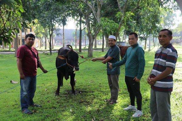 Polije Gelar Penyembelihan Hewan Kurban Idul Adha 1446 H, Distribusikan Daging ke Masyarakat Sekitar