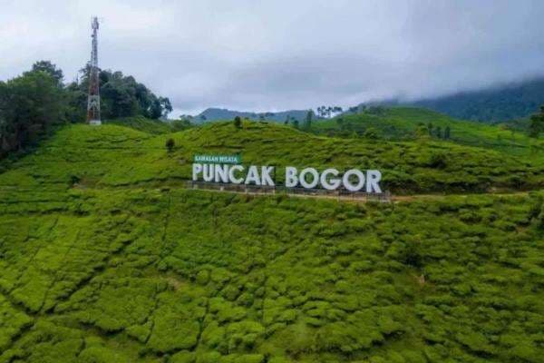 Mau ke Puncak Bogor saat Libur Panjang? Jangan Lewatkan 4 Destinasi Ini!