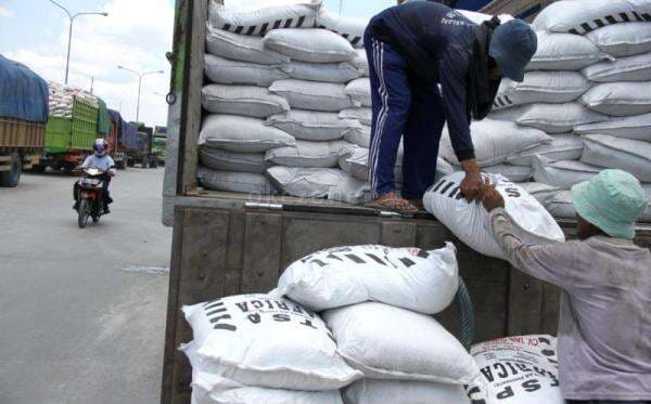 Skema Baru Distribusi Pupuk Subsidi, Ini Penjelasannya