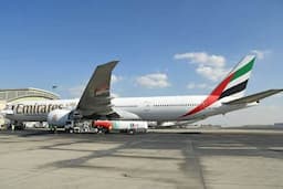 Duh! Pesawat Boeing 777-300 Emirates Tabrak Kawanan Burung saat Mendarat di Mumbai