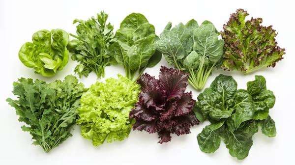 Bayam vs Kale, Mana yang Lebih Sehat?