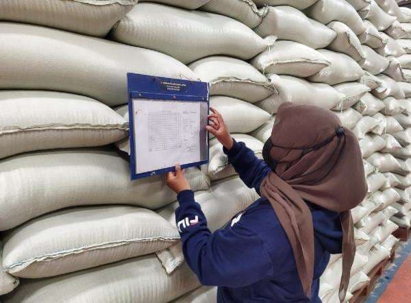 Harga Beras di Penggilingan, Grosir hingga Eceran Turun pada Oktober 2025