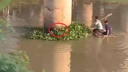 Tepergok Warga, Maling Motor di Karawang Nekat Sembunyi 10 Jam di Tumpukan Eceng Gondok