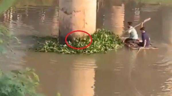 Tepergok Warga, Maling Motor di Karawang Nekat Sembunyi 10 Jam di Tumpukan Eceng Gondok