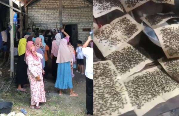 Empat Desa Diserbu Jutaan Lalat, Warga Geruduk Peternakan Ayam di Baureno Bojonegoro