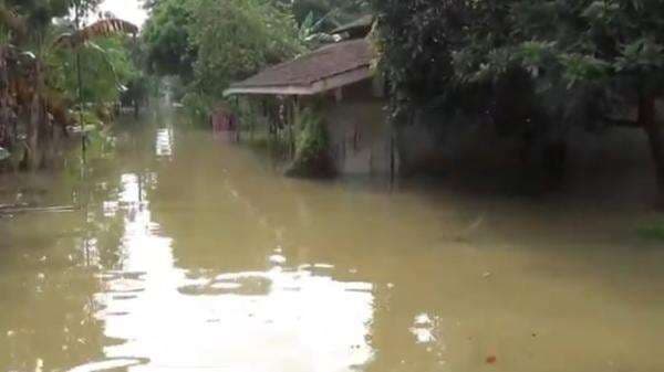 Banjir Rendam Ratusan Rumah di 2 Desa di Jepara, Ribuan Warga Mengungsi