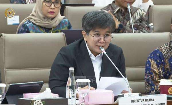 Danantara Suntik Modal Rp8 Triliun ke Proyek Smelter Inalum