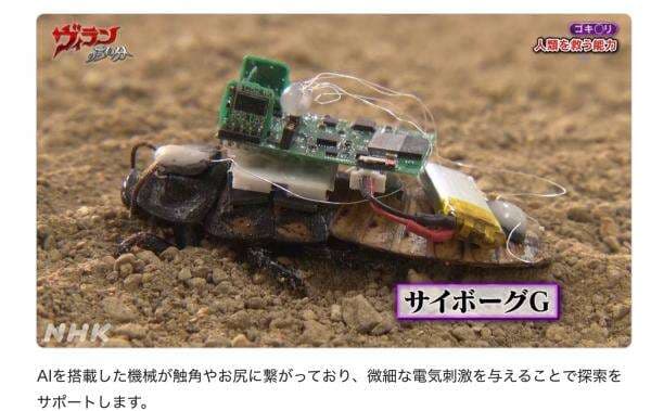 Robot Serangga Ciptaan Dosen UNDIP Jadi Sorotan Media Internasional