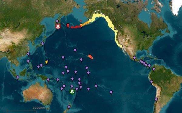 Gempa Guncang Rusia Magnitudo 8,7, Tsunami hingga 1 Meter Diperkirakan Sampai Indonesia