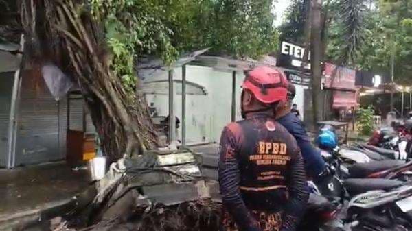 Angin Kencang Terjang Kotim, Atap Sekolah Terbang dan Pohon Tumbang