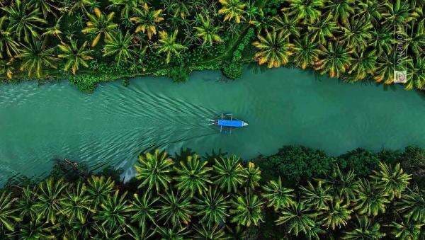 Melihat Pesona Keindahan Wisata Berjuluk Amazonnya Indonesia di Lumajang