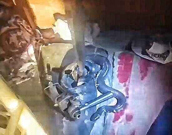 ​Ular Hanjaliwan Masuk Kamar Tidur di Palangka Raya, Penghuni rumah Ketakutan