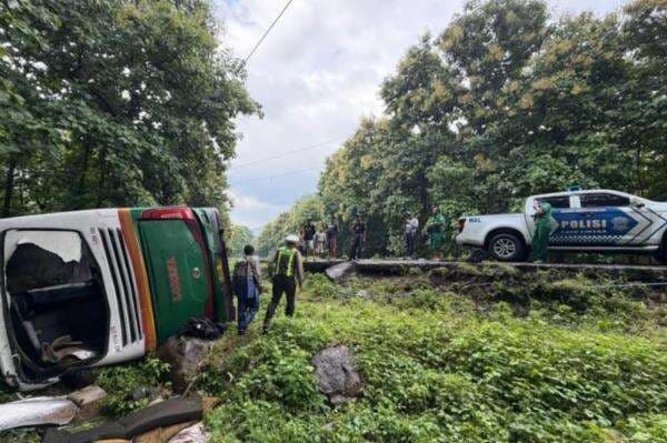 Kecelakaan Bus Terbalik di Taman Nasional Baluran Situbondo, 5 Penumpang Luka-Luka