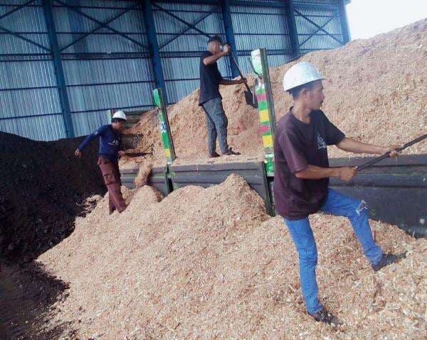 Bye Batu Bara, Pasokan Biomassa untuk PLTU Tak Akan Kekurangan