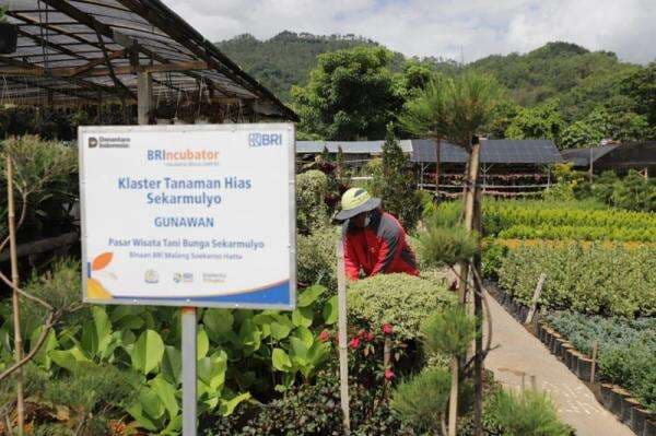 Perkuat Ekonomi Kerakyatan, BRI Group Salurkan Rp632 Triliun kepada 34,5 Juta Debitur