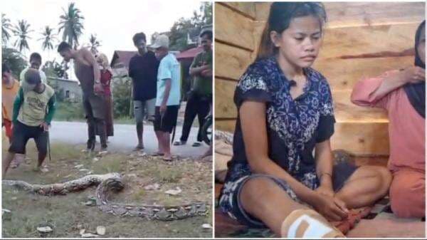 Remaja Perempuan Usia 15 Tahun Nyaris Ditelan Ular Piton Sepanjang 7 Meter di Muna