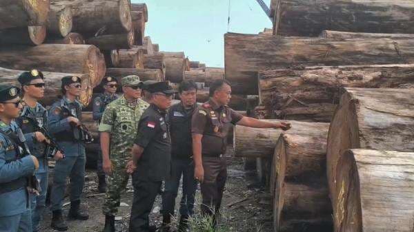 Satgas Garuda PKH Tetapkan 2 Tersangka Illegal Logging di Mentawai, Kerugian Ratusan Miliar