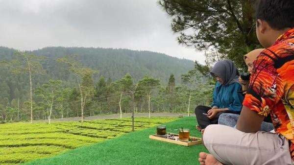 3 Jalur Alternatif ke Banjarnegara dari Wonosobo, Rutenya Bikin Adem dan Cepat Sampai!