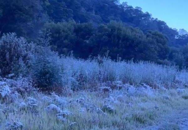 Kata TNBTS soal Fenomena Embuk Beku di Bromo hingga Suhu Ekstrem 0 Derajat Celsius