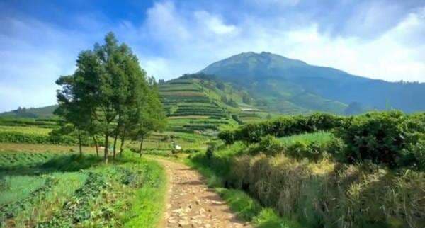 3 Jalur Alternatif ke Magelang yang Jarang Diketahui, Tapi Wajib Dicoba Traveler!