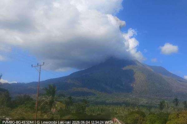Gunung Lewotobi Laki-laki Erupsi Siang Ini, Abu Vulkanis Tertutup Awan
