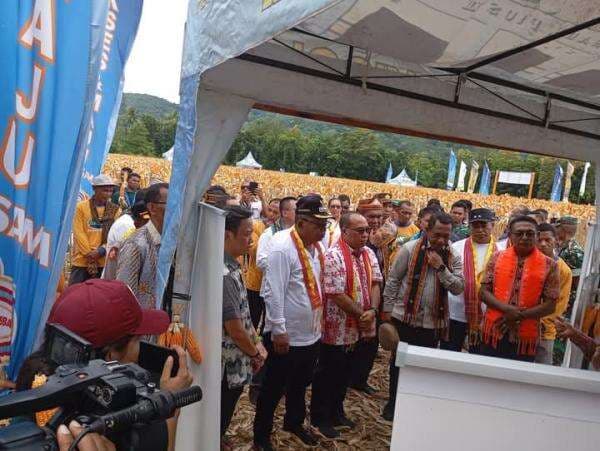 Panen Raya Jagung di Manggarai Timur: Dorong Swasembada dan Kemandirian Pangan