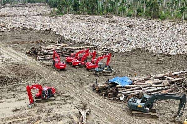 Potret TNI Kerahkan Alat Berat, Bersihkan Tumpukan Kayu di Aceh Utara