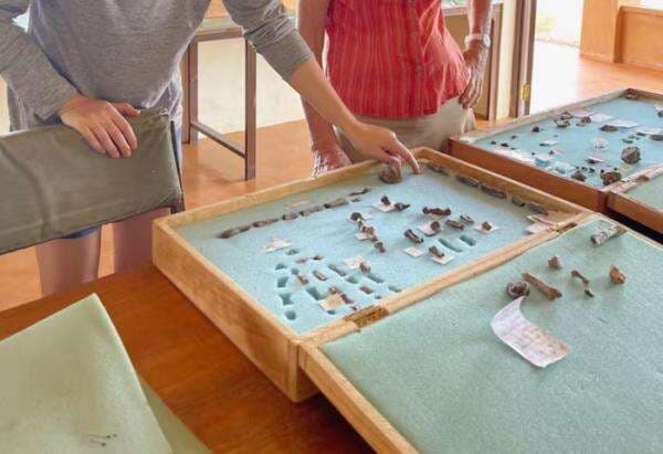 Peneliti Temukan Fosil Tangan dan Kaki Kerabat Manusia Purba 1,5 Juta Tahun Lalu