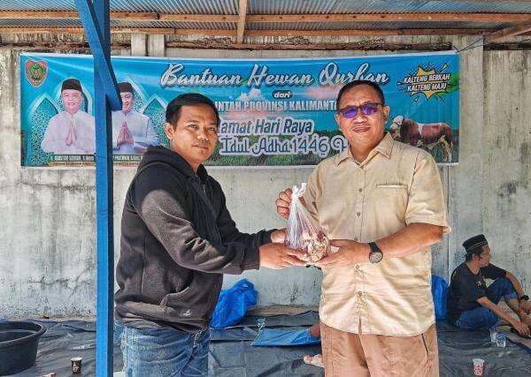 BNNP Kalteng Sembelih 3 Ekor Sapi Kurban di Hari Raya Idul Adha, Dagingnya Dibagikan ke Masyarakat BNNP Kalteng Sembelih 3 Ekor Sapi Kurban di Hari Raya Idul Adha, Dagingnya Dibagikan ke Masyarakat