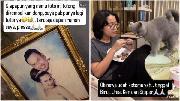 Seminggu Setelah Penjarahan, Uya Kuya Masih Sibuk Cari Kucing hingga Foto Pernikahan