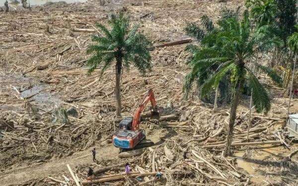 Pembelajaran di Lokasi Bencana Sumut Mulai Berjalan Hari Ini