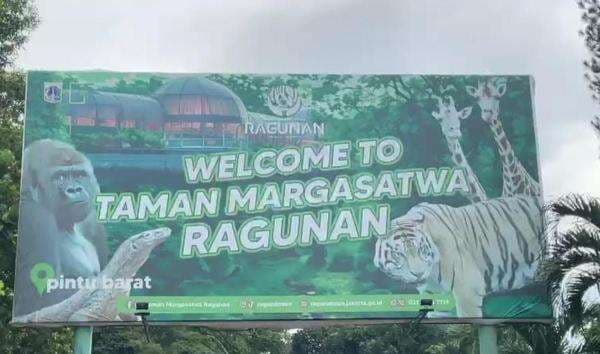 Long Weekend Isra Mikraj, 3.000 Wisatawan Ramaikan Taman Margasatwa Ragunan