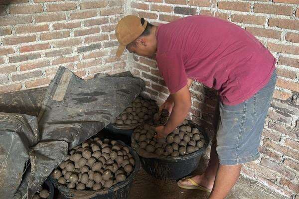 Berkah Program MBG, Omzet Perajin Telur Asin di Madiun Naik hingga 4.000 Persen!