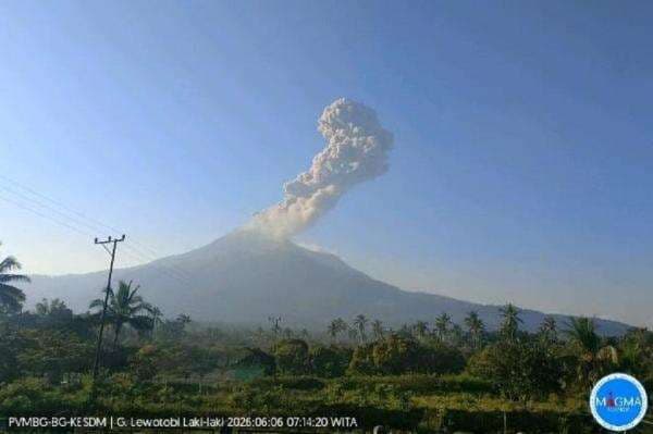 Gunung Lewotobi Laki-laki Meletus, Semburkan Abu Vulkanis Setinggi 1,5 Km