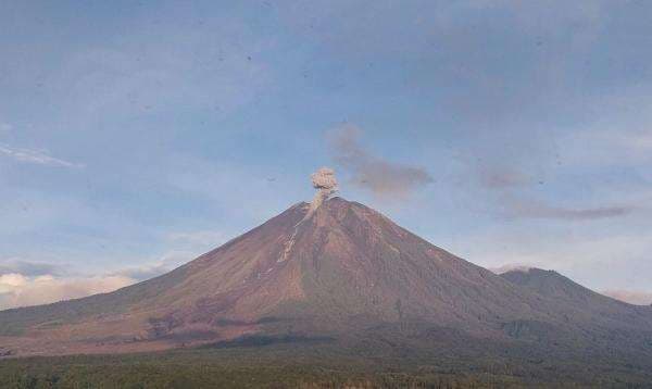 Gunung Semeru Alami 8 Kali Erupsi, Kolom Abu Tertinggi 1.000 Meter