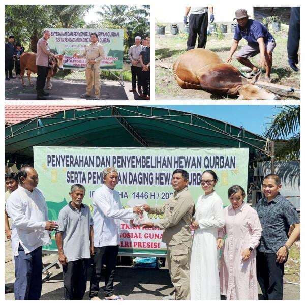 Peringati Idul Adha 1446 H, Polres Seruyan Sembelih 33 Hewan Kurban