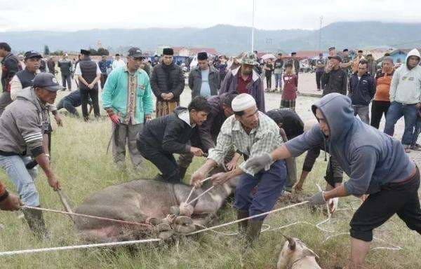 Gema Takbir Iringi Semarak Idul Adha di Bener Meriah, Warga Sambut Hari Kurban dengan Penuh Sukacita Gema Takbir Iringi Semarak Idul Adha di Bener Meriah, Warga Sambut Hari Kurban dengan Penuh Sukacita