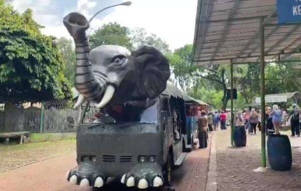 7.000 Wisatawan Padati Taman Margasatwa Ragunan Sejak Pagi