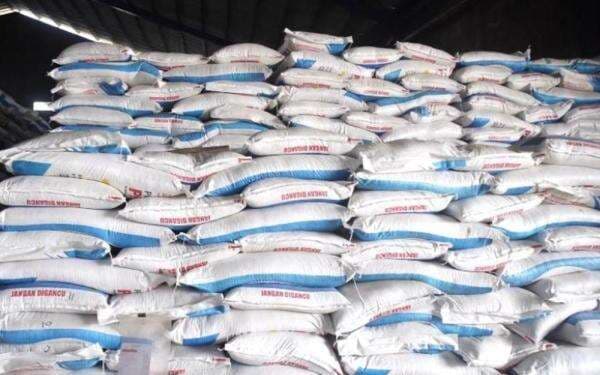 Kabar Baik Buat Petani, Pupuk Subsidi Bisa Ditebus Mulai 1 Januari 2026