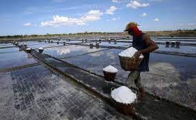 Pembangunan Kawasan Sentra Industri Garam Nasional di Rote Ndao Resmi Dimulai