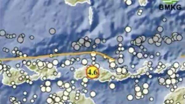 Gempa Bumi Terkini Magnitudo 4,6 Guncang Ruteng NTT