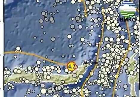 Gempa Terkini M 4,2 Guncang Amurang Minahasa Selatan, Kedalaman 10 Km