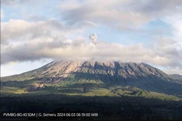 Gunung Semeru 5 Kali Erupsi, Warga Dilarang Beraktivitas Radius 5 Km