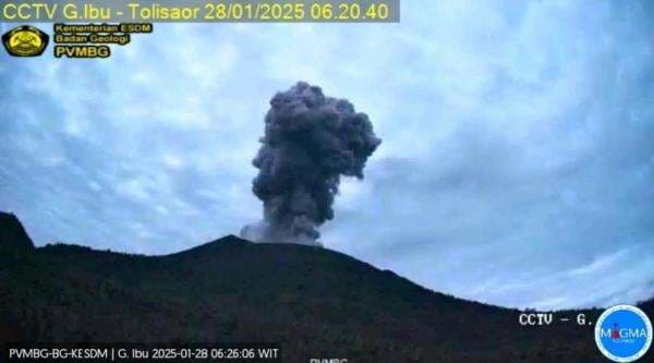 Breaking News! Gunung Ibu Meletus Pagi Ini, Muntahkan Abu Vulkanik 1.200 Meter